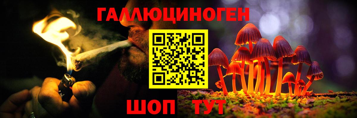 Галлюциногенные грибы Psilocybe Братск
